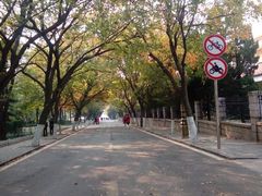 android_upload_pic-八大关景区