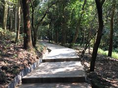 -火炉山森林公园