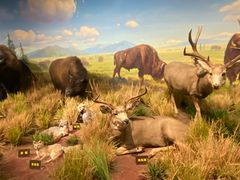 -陕西自然博物馆