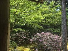 -三千院