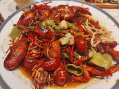 -杨氏青龙虾·羊蝎子(托乐嘉店)