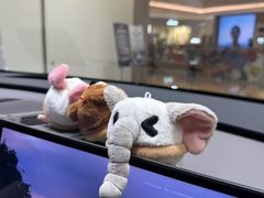 -理想汽车(世纪汇店)