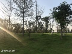 -府河摄影公园