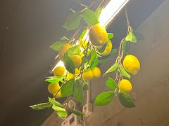 -Wood Garden(合生汇店)