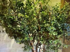 -青水瓦台汤泉(未央店)