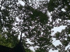 -虎跑公园