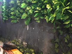 -肥龙火锅(南坪店)
