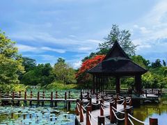 -中国科学院西双版纳热带植物园