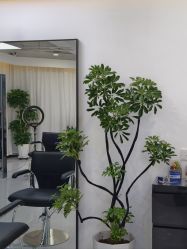 -V7 HAIR SALON