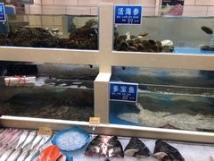 水产区-双井轩(双井店)