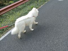 -宝界山林公园