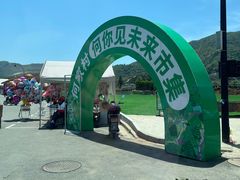 -龙坞茶村