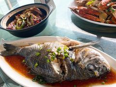-七鲜渔港美食餐厅(巽寮湾海景店)