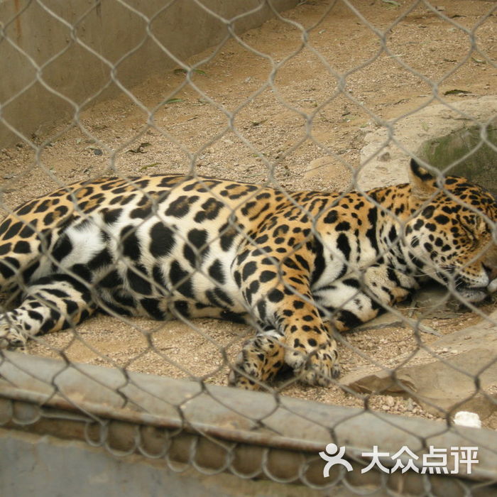 八达岭野生动物世界路过居庸关图片-北京动物园-大众点评网