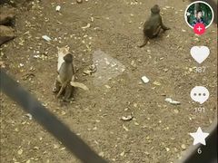 -昆明动物园