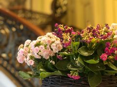 -利顺德大饭店·维多利亚花园(小白楼店)