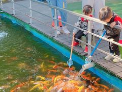-长洲岛都市农业公园