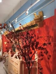 -星豆豆儿童摄影(南郊太白南路店)