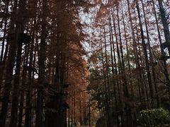-灵栖洞天
