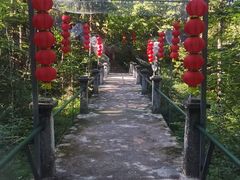 -五营红松林海景区