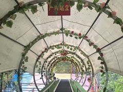 -藏龙百瀑风景区