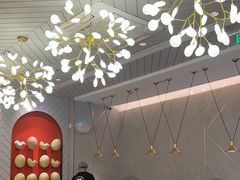 -金戈戈香港豉油鸡(南山海岸城店)
