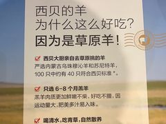 -西贝(华发商都店)