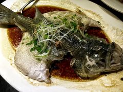 清蒸鲈鱼-唐廊烤鸭店(工体店)