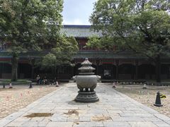 -灵谷景区