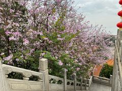 -南沙天后宫景区