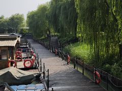 -泗洪洪泽湖湿地景区