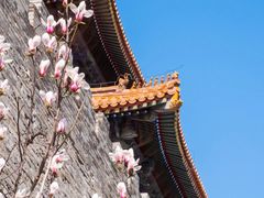 -故宫博物院(故宫)