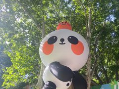 -西安电影制片厂