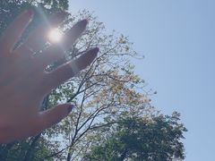 -天女山森林公园