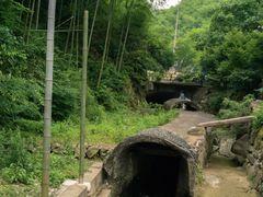 -龙颈河漂流