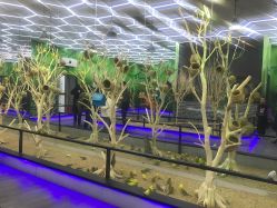 -未来动物城主题公园(正弘城店)