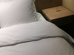 -都江堰中心国际酒店