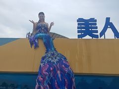 -秦皇岛乐岛海洋王国