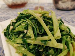 炒通心菜-姚林轩
