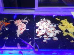 -集杰尚品海鲜烤肉火锅自助餐厅(经区九龙城店)
