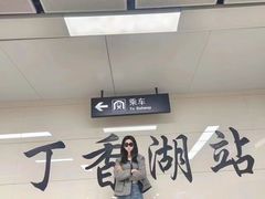 -丁香湖公园