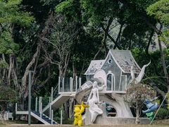 -银湖山郊野公园-相思林