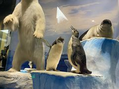 -国家自然博物馆