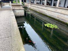 -兰亭风景区
