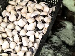 -沙田台山海鲜·酣客酒窖