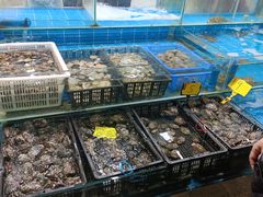 -众彩物流水产市场