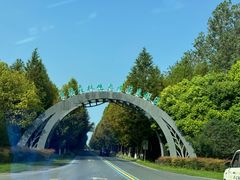 -黄海国家森林公园