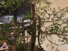-桂满陇-锦绣江南(万象城店)