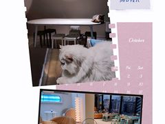 -怪兽屋·羊驼·猫咖·狗咖(俊华广场店)