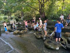 -成都市活水公园